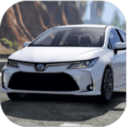 银河87680贵宾会模拟器宝马下载安装最新版-银河87680贵宾会模拟器游戏手机版下载 v0.2 安卓版