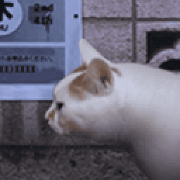 银河集团198.net之怪奇谭官方正版下载-银河集团198.net之怪奇谭手机版下载 v1.0 安卓正版