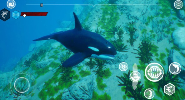 9455澳门新葡萄手游玩法技巧 9455澳门新葡萄手游玩法技巧