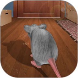 威尼斯v29下载游戏下载-威尼斯v29下载最新版下载 v2.2 安卓版